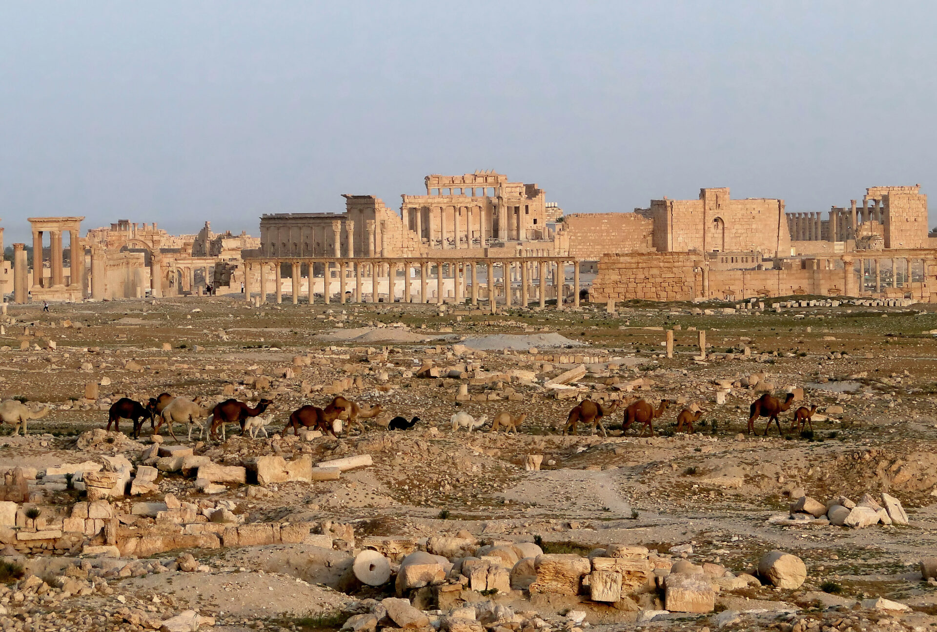 Palmyra ruins